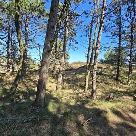 8 Person In Romo-by Traum