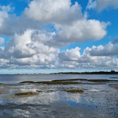 8 Person In Romo-by Traum *